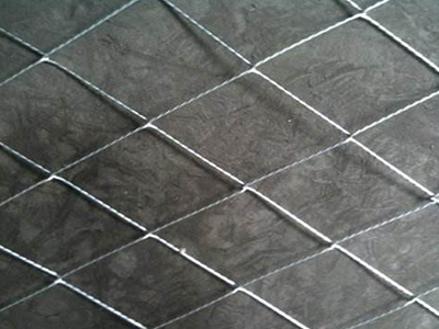 蜘蛛網(wǎng) 蜘蛛網(wǎng)