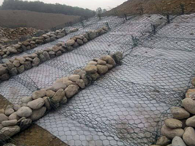 雷諾護(hù)墊 雷諾護(hù)墊